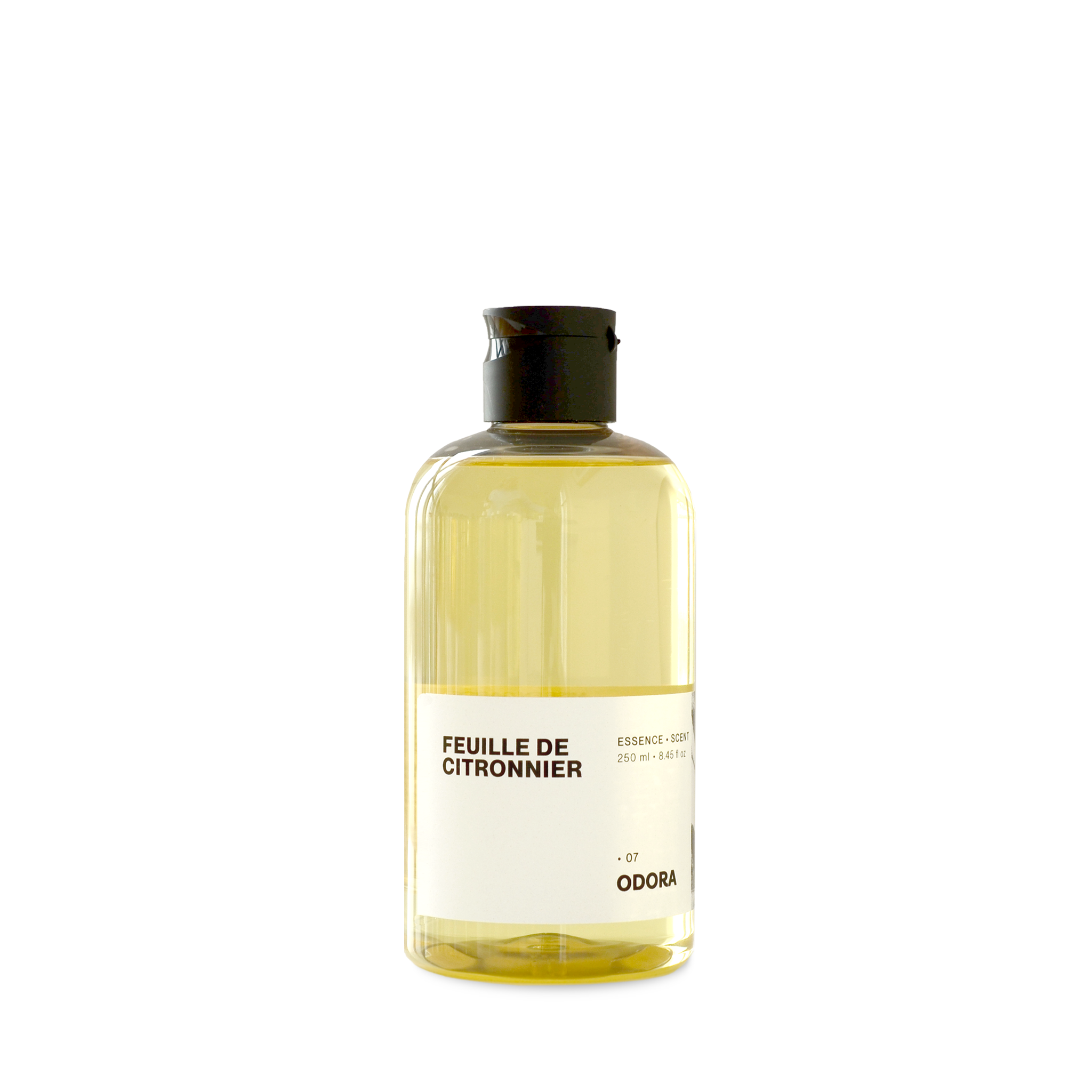 FEUILLE DE CITRONNIER 07 • COLLECTION ATELIER