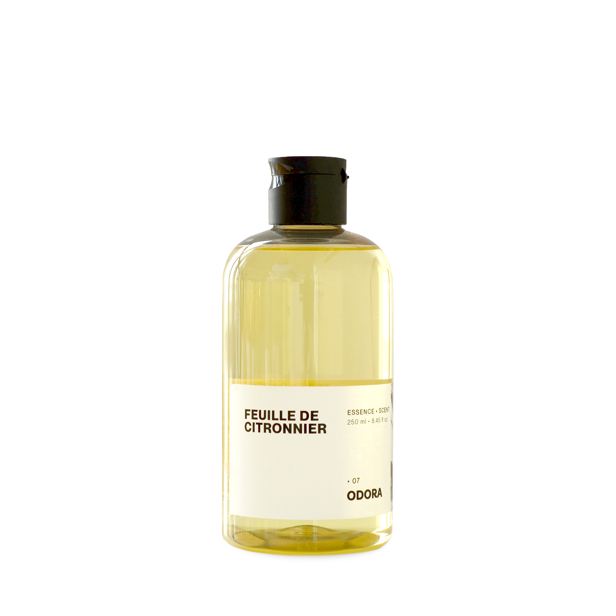 FEUILLE DE CITRONNIER • ATELIER COLLECTION